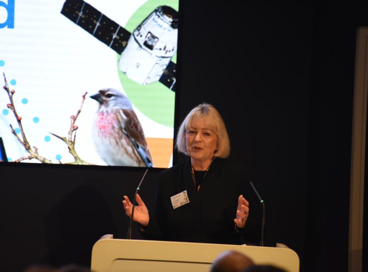 Judith Batchelar at the UKCEH Strategy launch