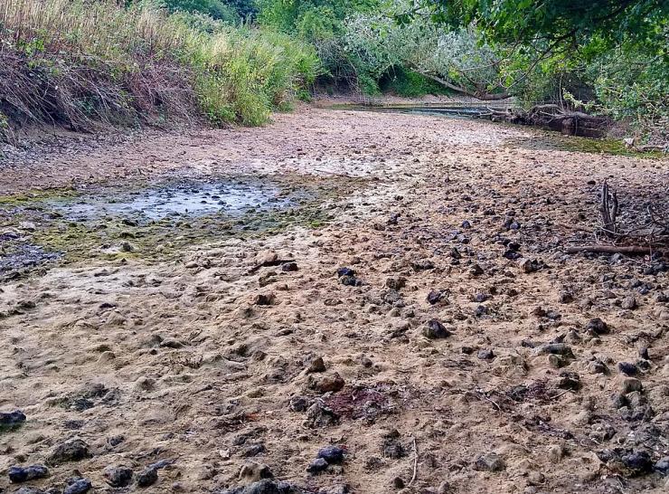 River Mole in the 2022 drought. Photo: Mertbiol, CC0
