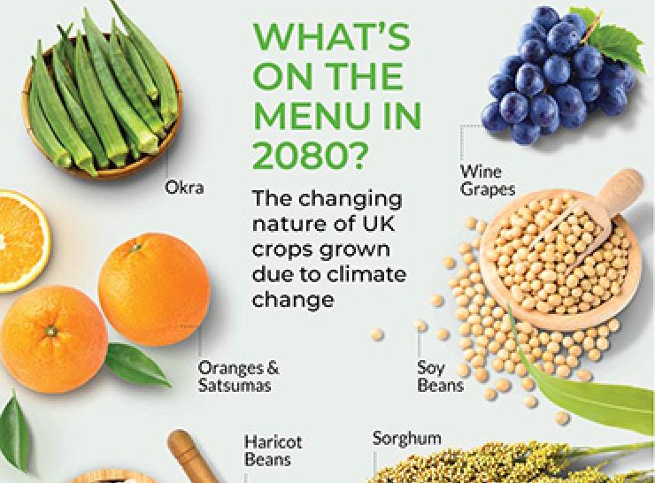 Fruit and vegetables and the text What's on the menu in 2080? The changing nature of UK crops grown due to climate change
