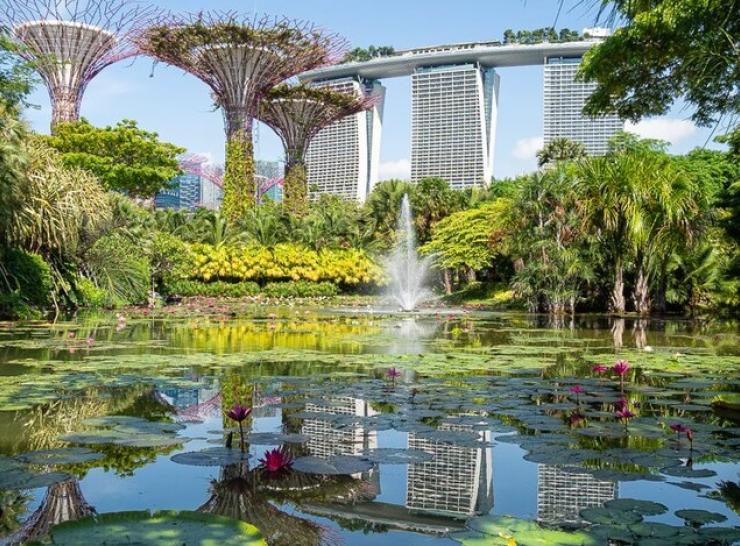 Garden at Marina Bay, Singapore. Photo: Danijel-MihajlovicCC BY-SA 4.0