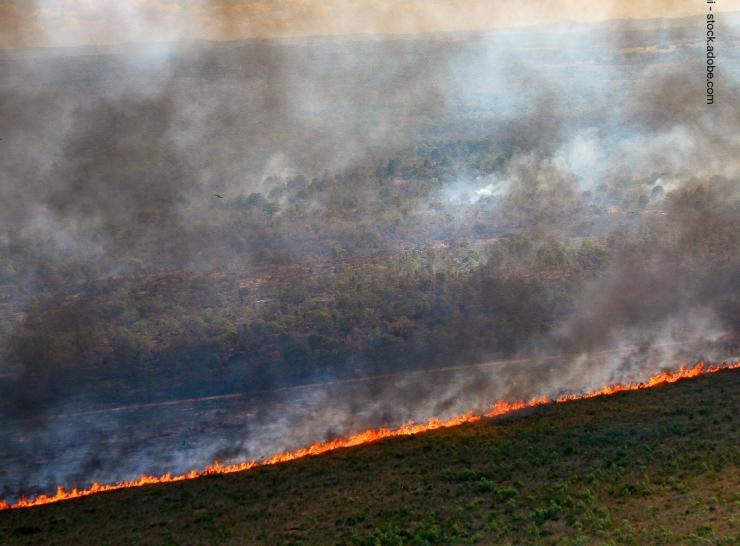 Flames and smoke curtain of a forest fire in the Brazilian Amazon