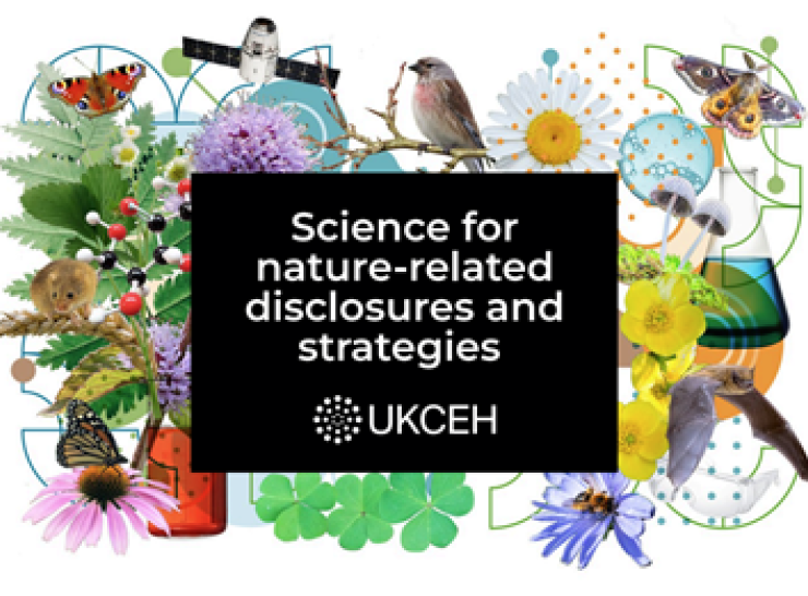 Cover of UKCEH's brochure for ESG