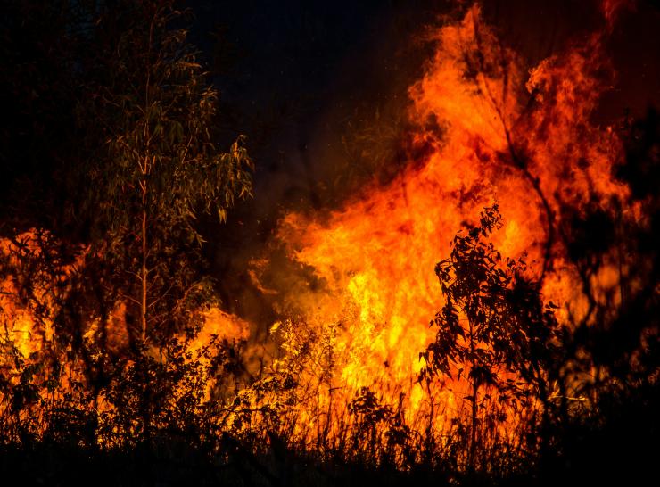 Wildfire. Photo: Dirk Erasmus, Unsplash