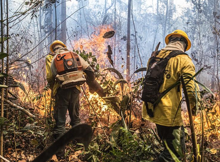 Wildfires in Rondonia, Brazil, Photo: Mayangdi Inzaulgarat/Ibama CC BY-SA 2.0