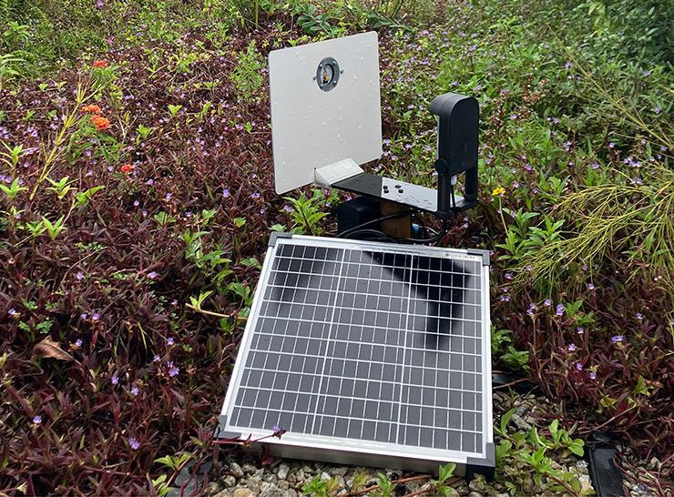 Solar panel and insect monitoring equipment sitting among vegetation