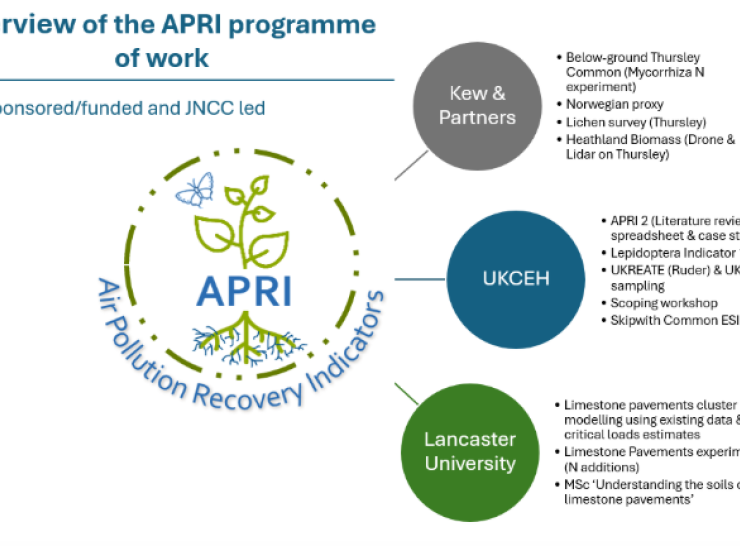APRI 