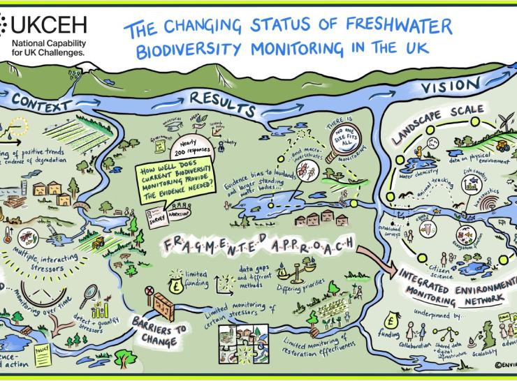 Overview graphic with all the different descriptors raised in the workshop and survey, with a water landscape behind
