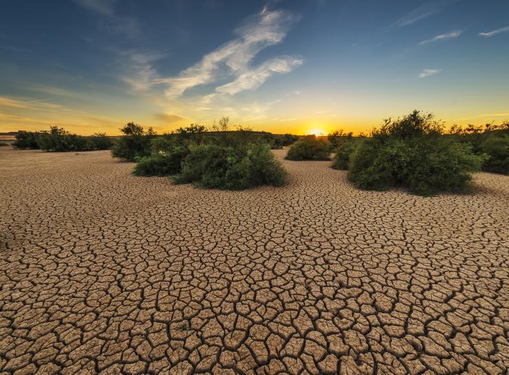 Flash droughts