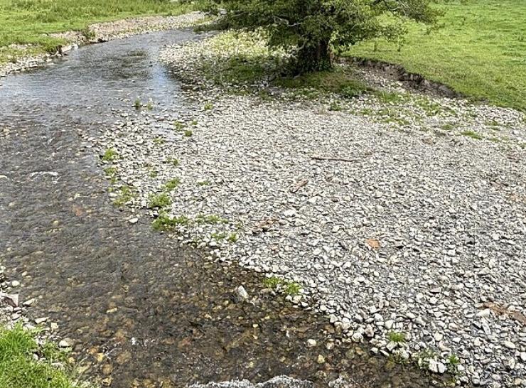 Afon Iwrch, Powys, in June 2025. Photo: John H Darch CC BY-SA 2.0