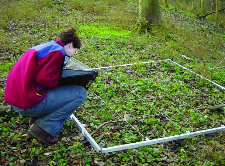 Field work