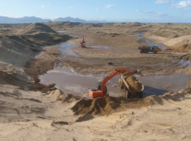 Kicking-starting natural dune dynamics