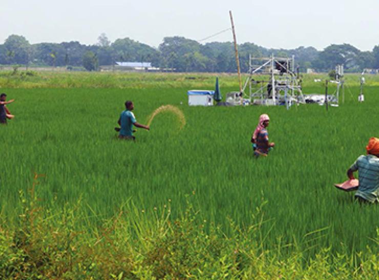 Spreading urea fertiliser on a field
