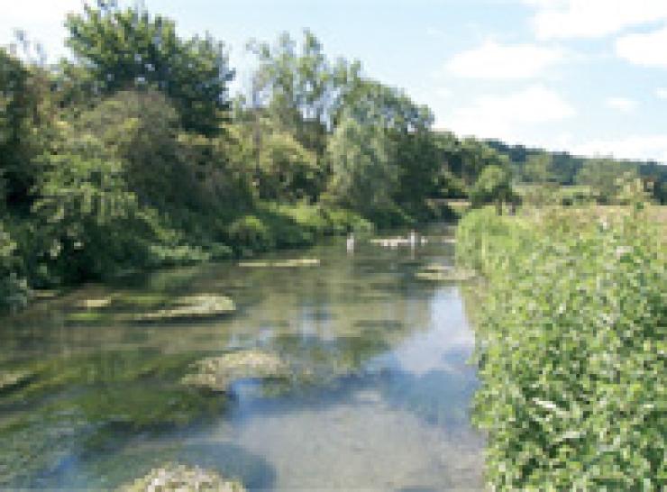 A river in April