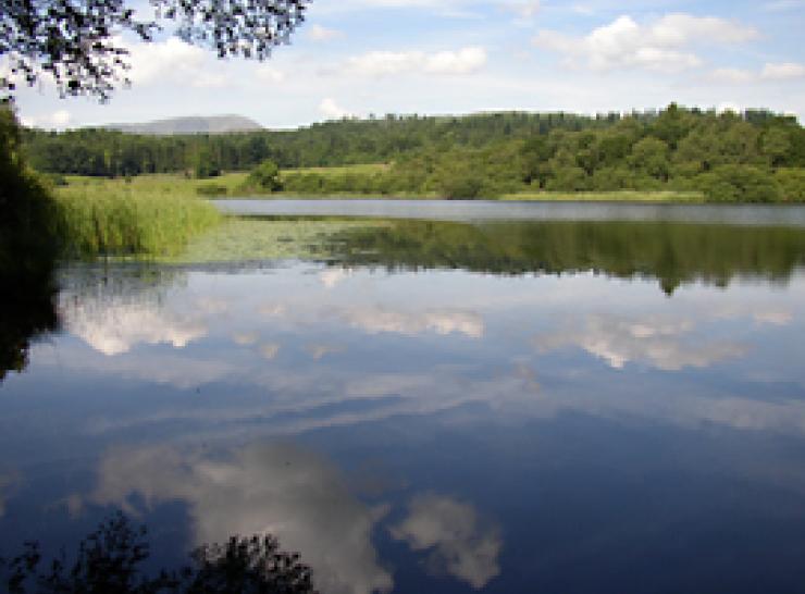 Blelham Tarn, one of the study sites 