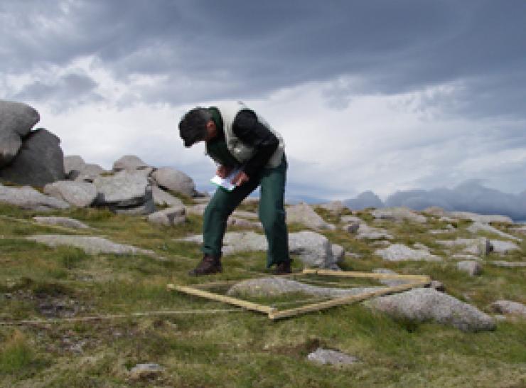 Picture: Samples from the Cairngorms were analysed by CEH as part of the studyPicture: Samples from the Cairngorms were analysed by CEH as part of the study
