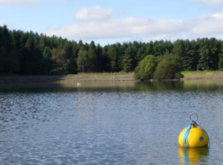 Clatto reservoir on a sunny day