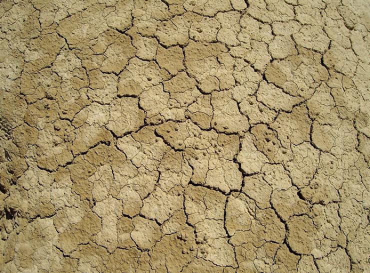Dry earth during drought