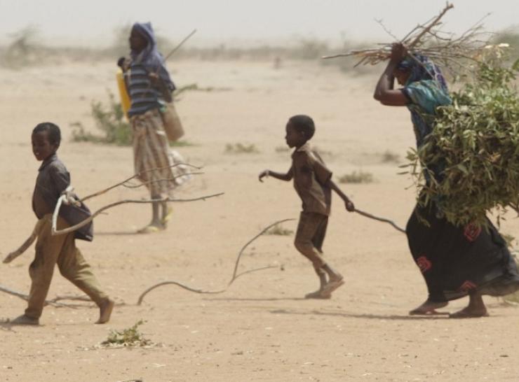 By Oxfam East Africa (A family gathers sticks and branches for firewood) [CC BY 2.0]