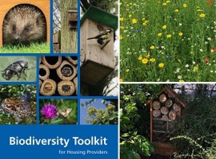 Biodiversity Toolkit
