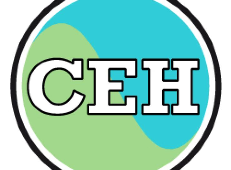 Decision on the future ownership and governance of CEH 