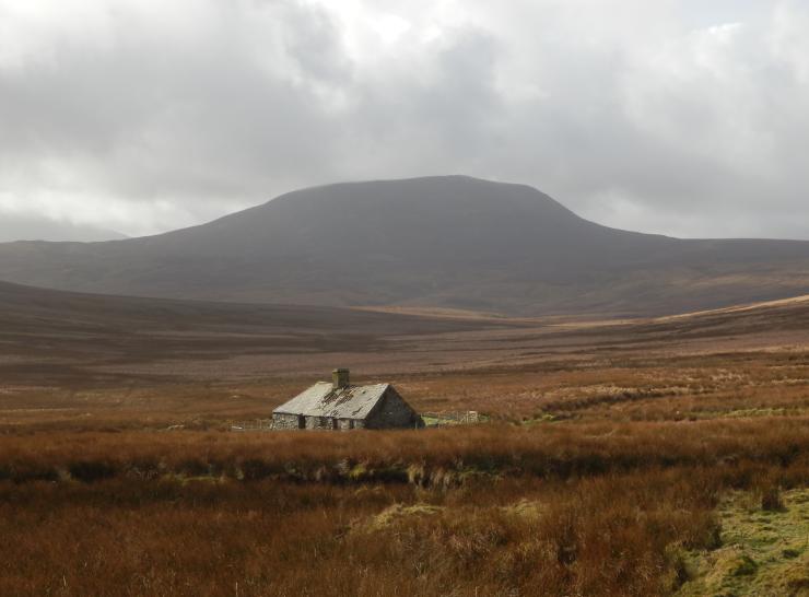 Migneint blanket bog, Snowdonia   Picture: Chris Evans