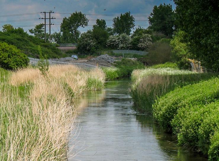 River Ray in Wiltshire      