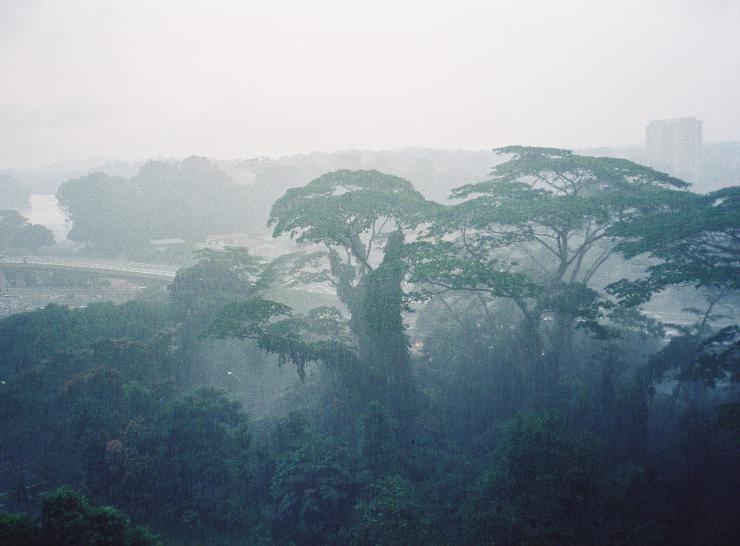 Tropical rain in Malaysia  Picture: Sofiya Muntyan, CC BY 2.0 https://flic.kr/p/ahtC4A