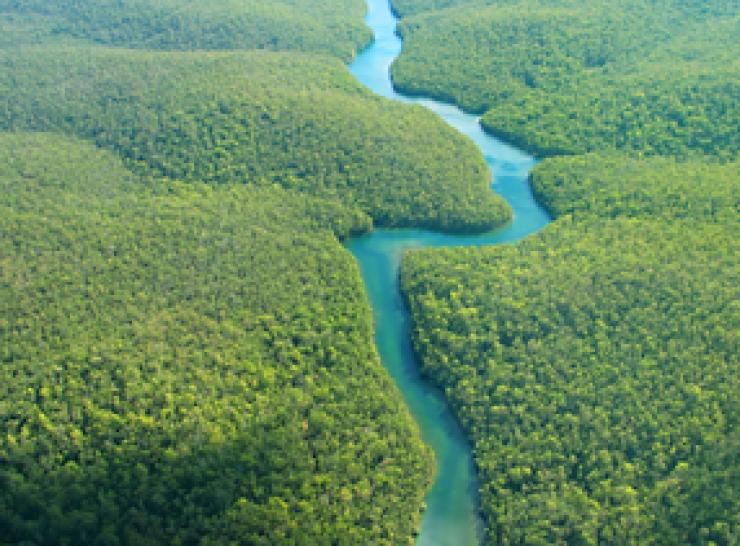 Amazon rainforest aerial view.  Photo: Shutterstock