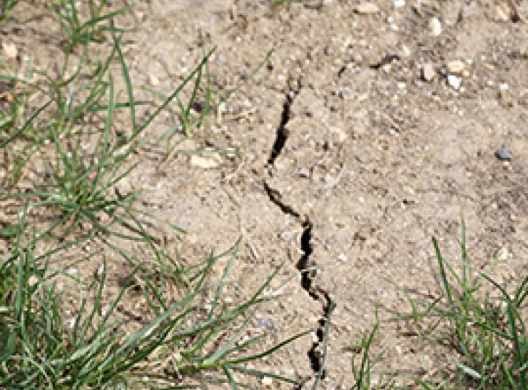 Drought-affected dry ground