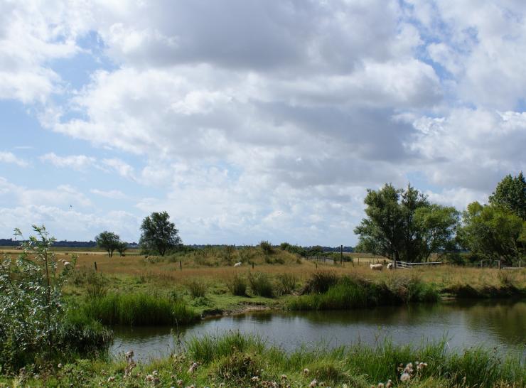 English pond and farmland   CCO