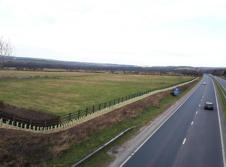 Tree planting along the A30  Picture: Highways England
