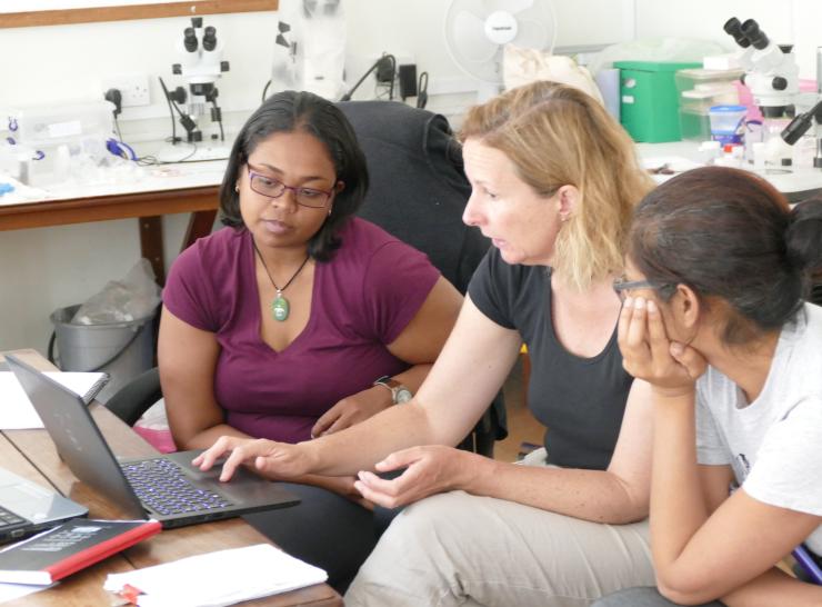 Helen Roy working with other biodiversity experts in St Helena