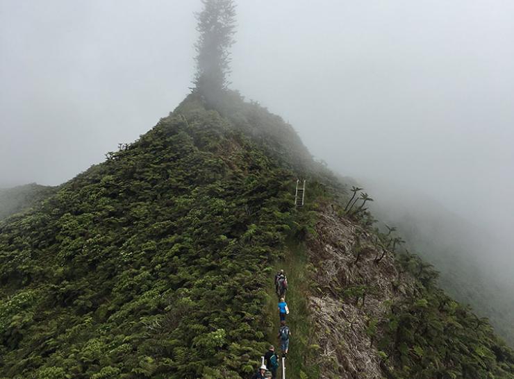 Trekking to Diana's Peak, St Helena