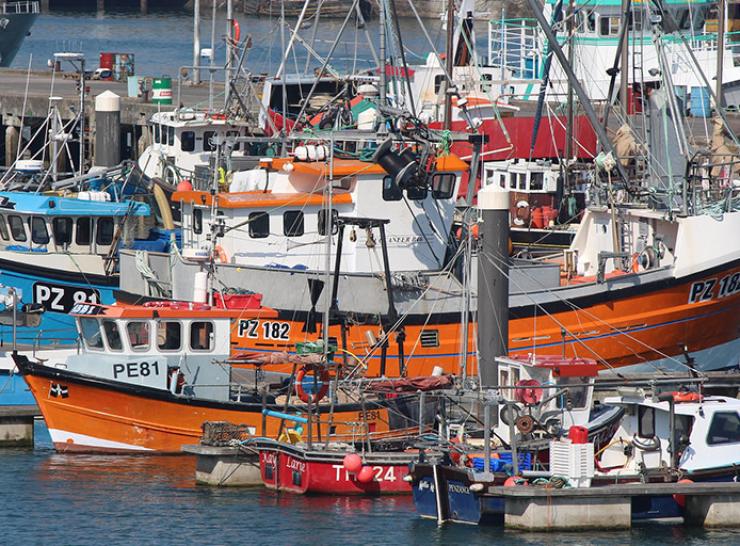 Fishing boats