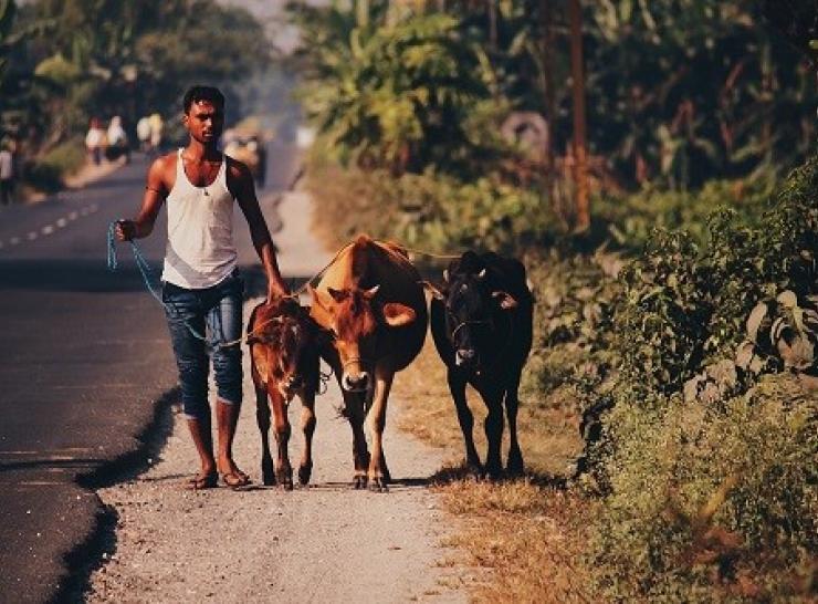 Smallholding farmer in India