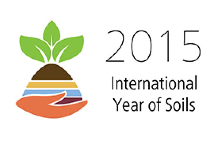 International Year of Soils 2015 logo