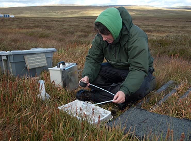 Researcher monitoring activity at the ECN upland site at Moor House,  Upper Teesdale, England