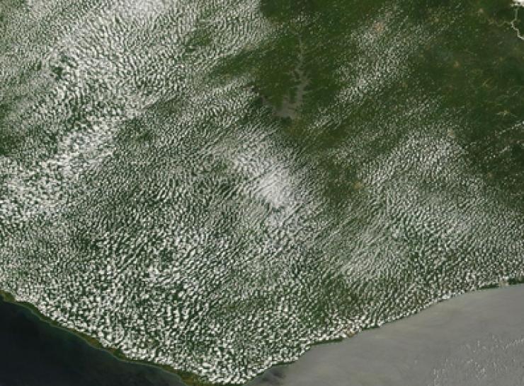 Cloud regimes above Tai National Park (image: NASA Worldview)