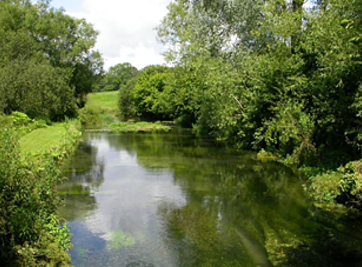 River Lambourn
