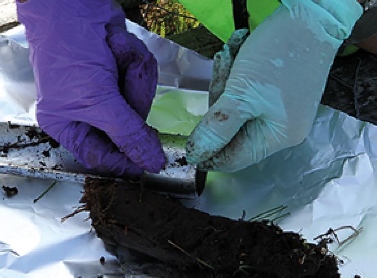 Analysing a soil sample from Whim bog