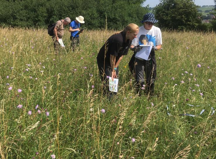 A FIT Count in Yorkshire   Picture: Catherine Jones 