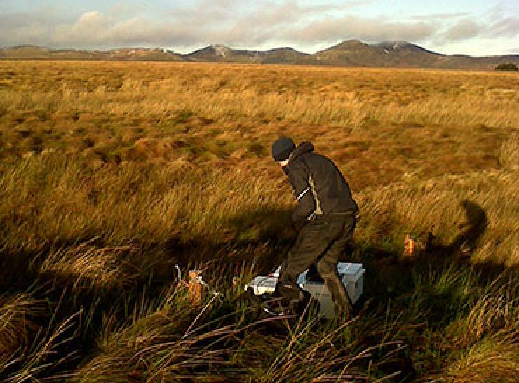 Fieldwork Black Burn Auchencorth Moss. Photo: Ian Leith