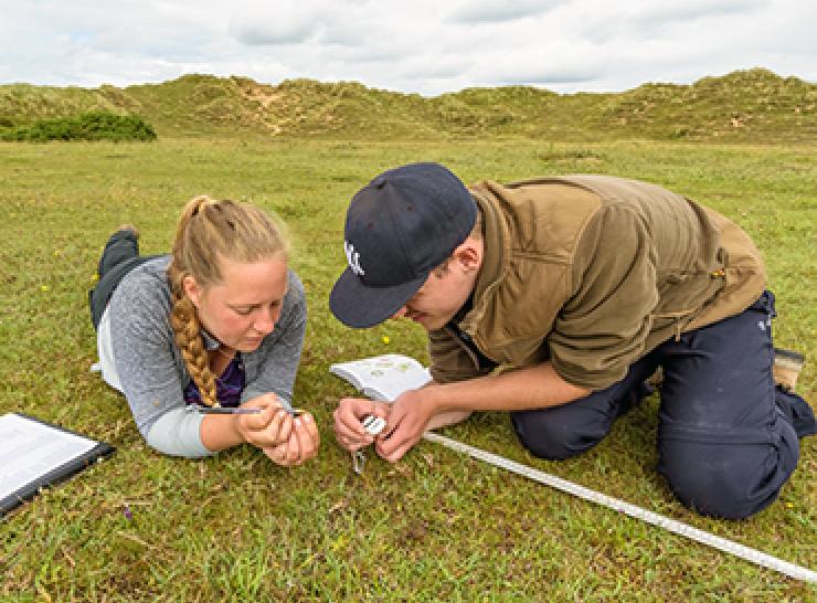 Two people surveying a patch of grassland