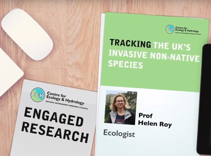 Invasive species