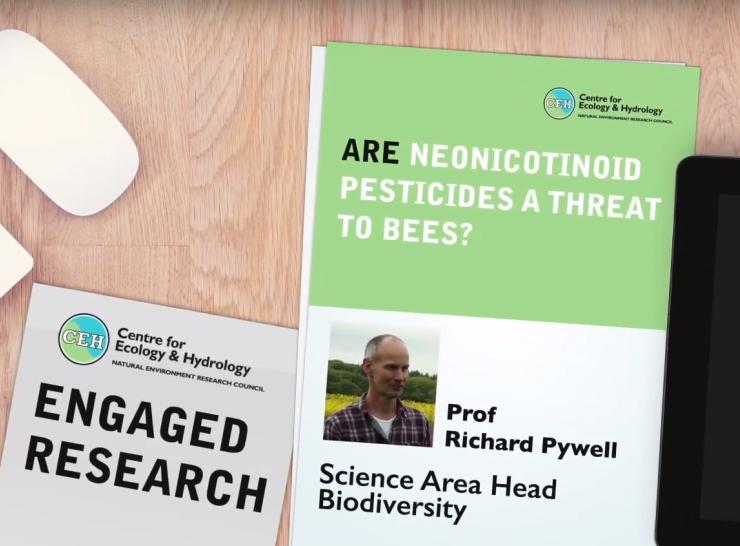 Neonicotinoid pesticides