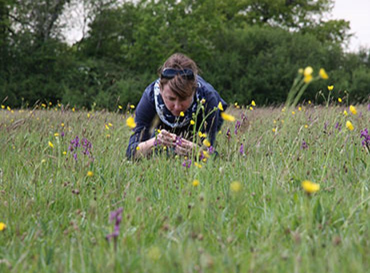 Examining flowers