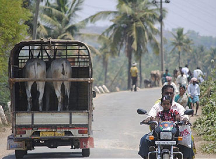 India truck and scooter