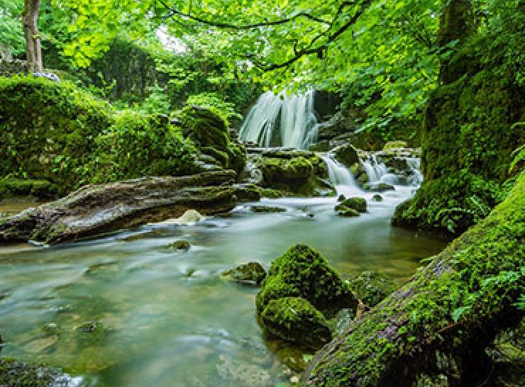 Waterfalls Photo: Janet Foss, Pixabay
