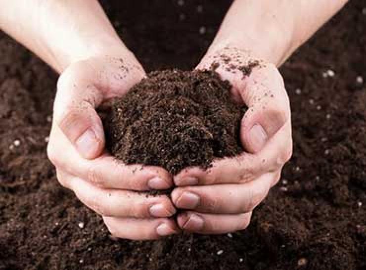 Soil health