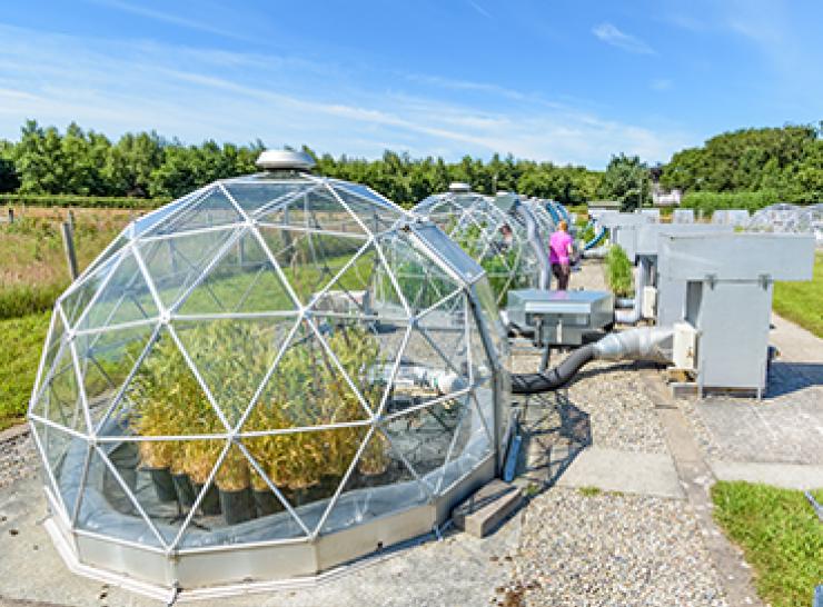 Solar domes in Bangor